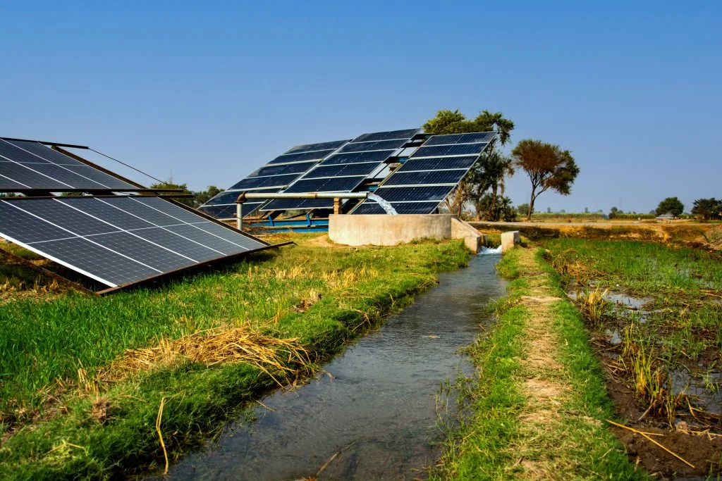 Solar Pumps: The Pulse of Rural Sustainability